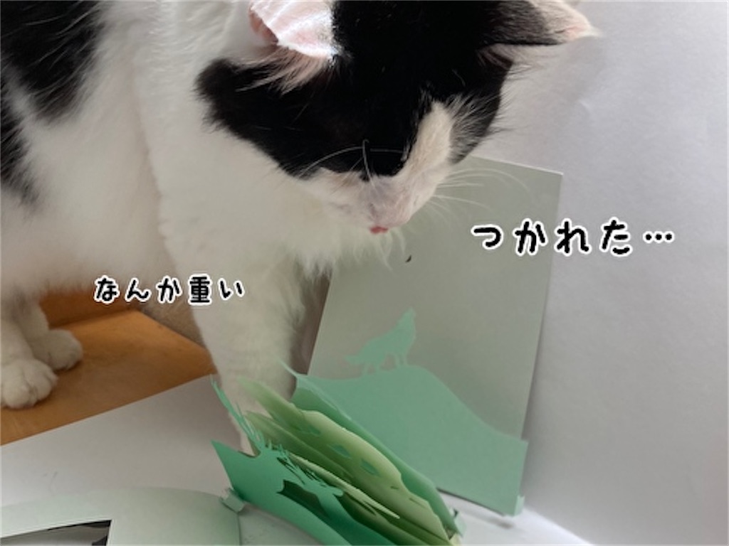 f:id:fukufukudo:20210724152926j:plain