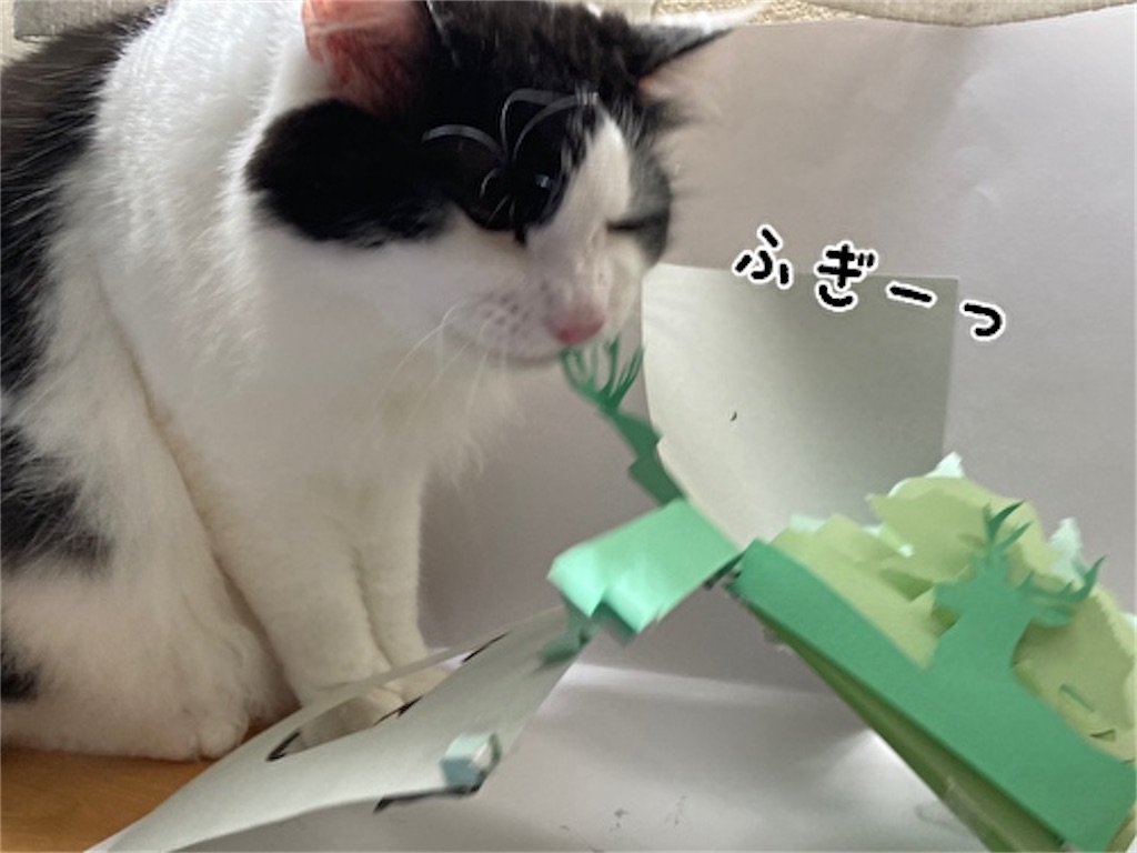 f:id:fukufukudo:20210724152949j:plain