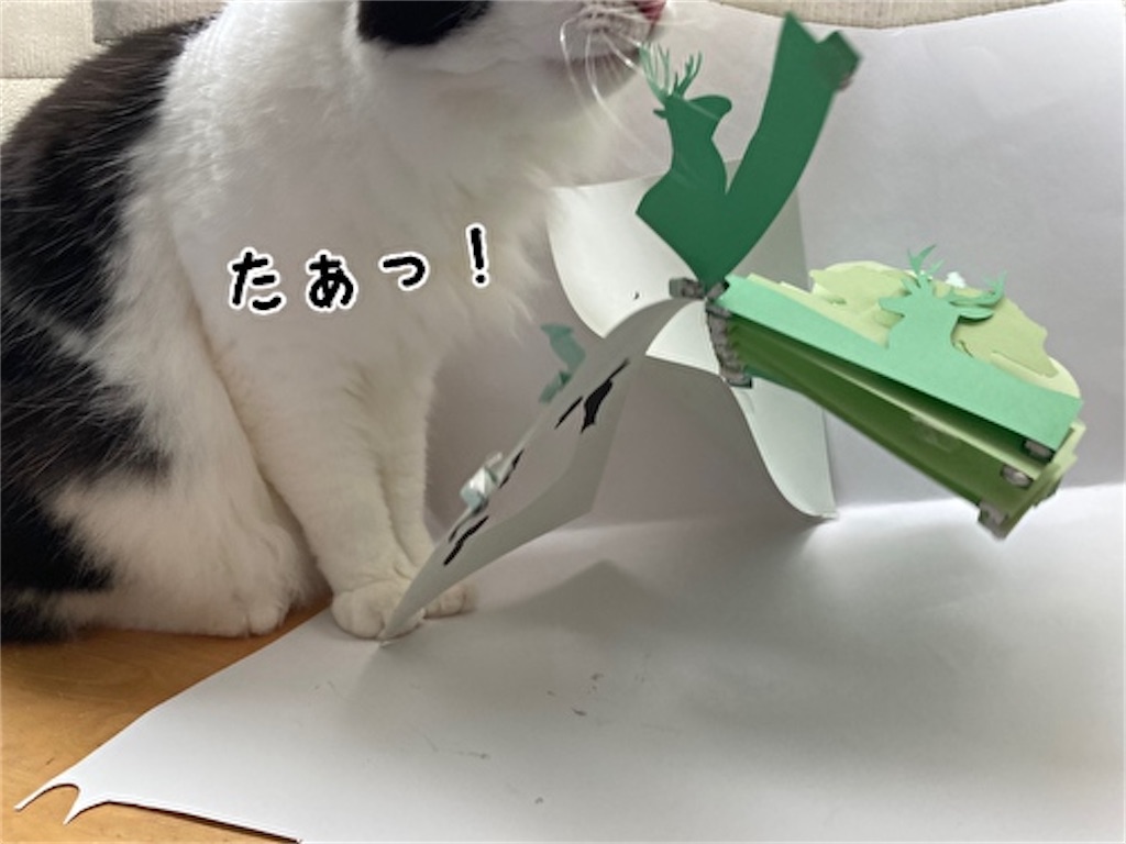 f:id:fukufukudo:20210724153000j:plain