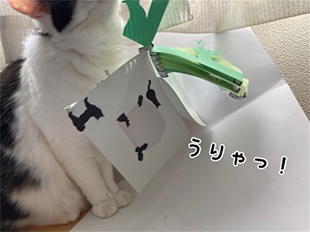 f:id:fukufukudo:20210724153014j:plain