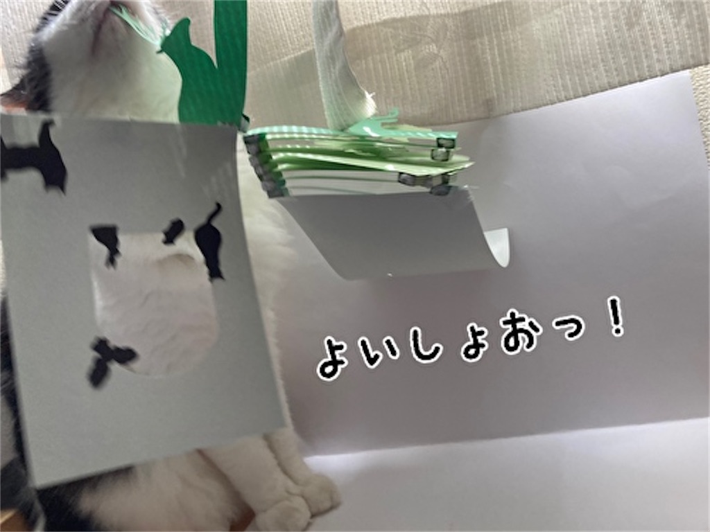 f:id:fukufukudo:20210724153022j:plain