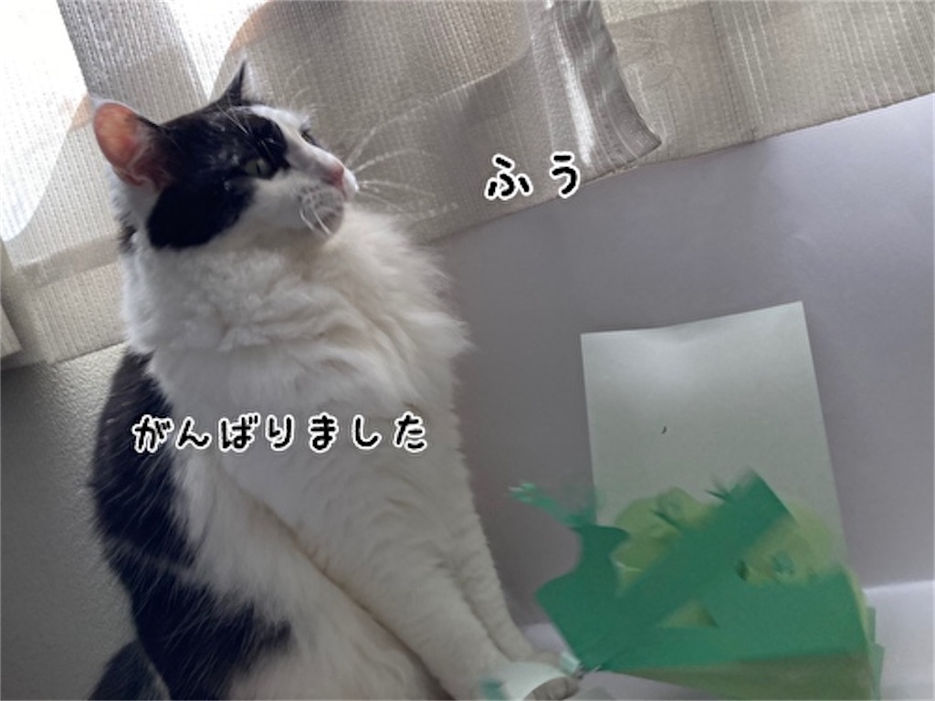 f:id:fukufukudo:20210724153044j:plain