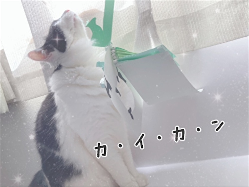 f:id:fukufukudo:20210725084659j:plain