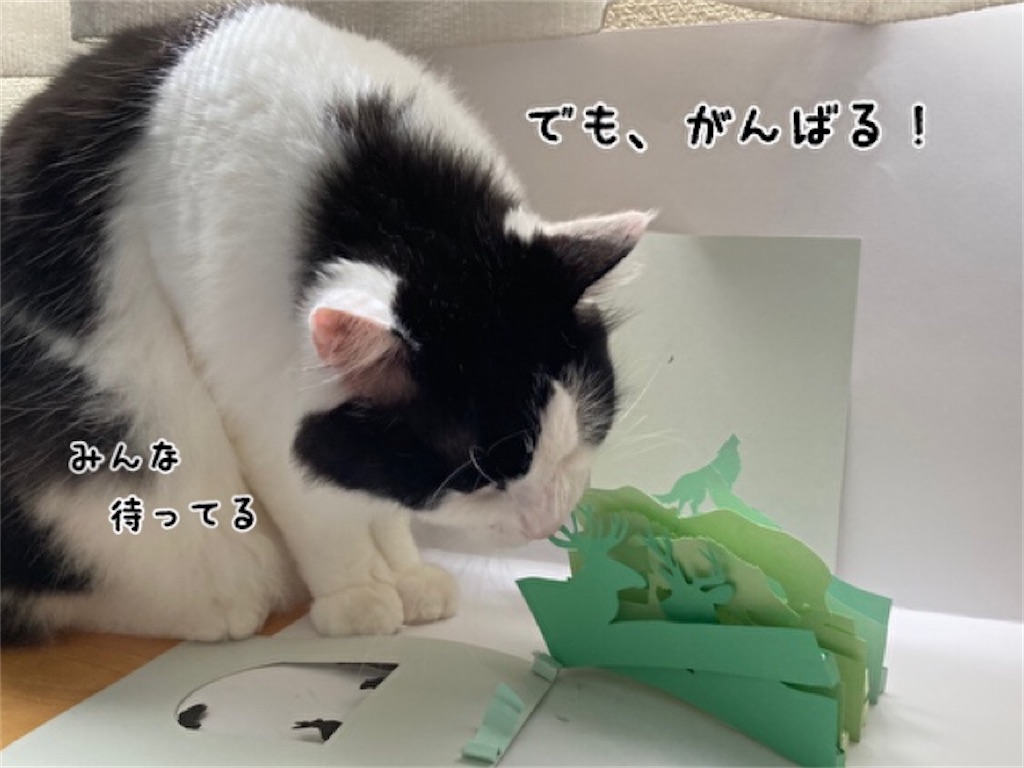 f:id:fukufukudo:20210725085055j:plain