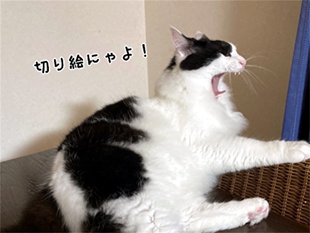 f:id:fukufukudo:20210726141042j:plain