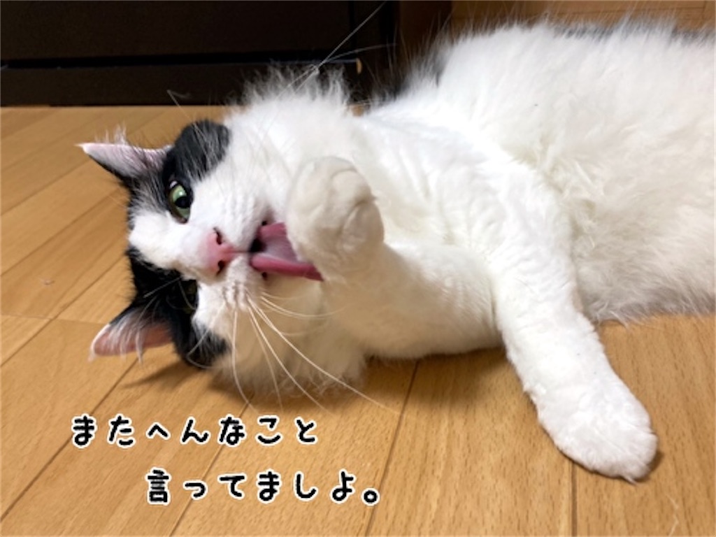 f:id:fukufukudo:20210728182359j:plain
