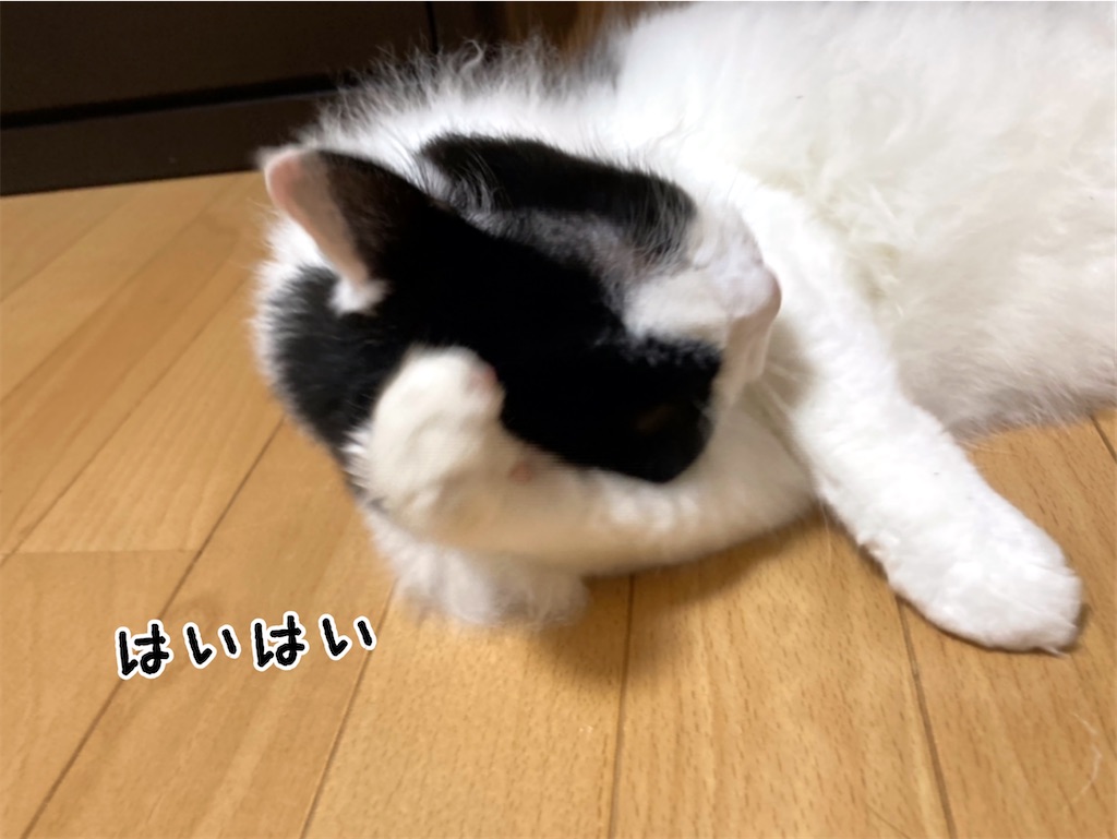 f:id:fukufukudo:20210728182408j:plain