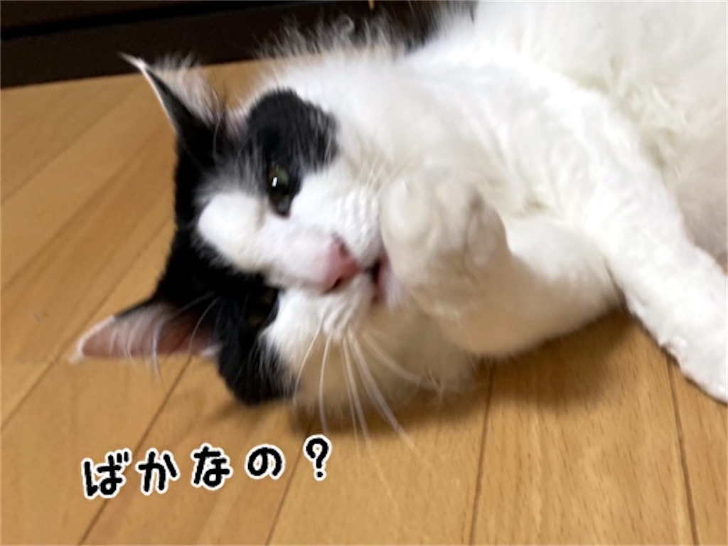 f:id:fukufukudo:20210728194629j:plain