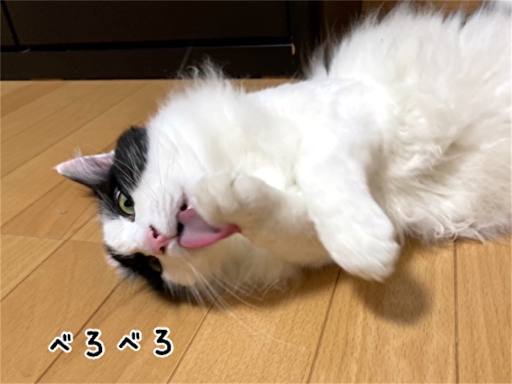 f:id:fukufukudo:20210728200537j:plain