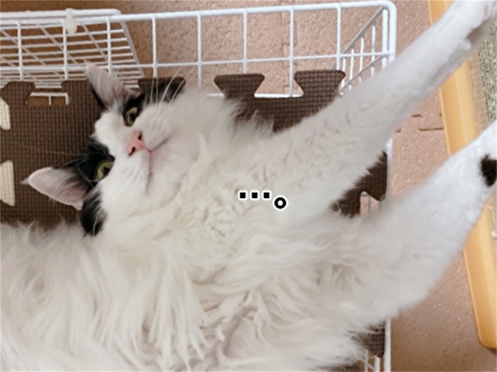 f:id:fukufukudo:20210731140803j:plain