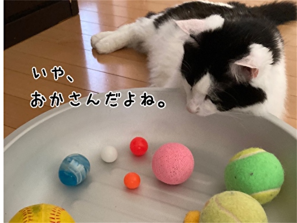 f:id:fukufukudo:20210801074957j:plain