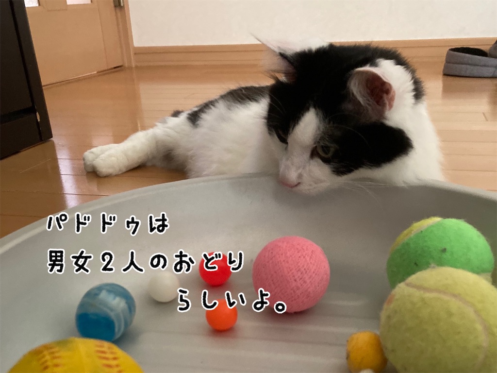 f:id:fukufukudo:20210801075741j:plain