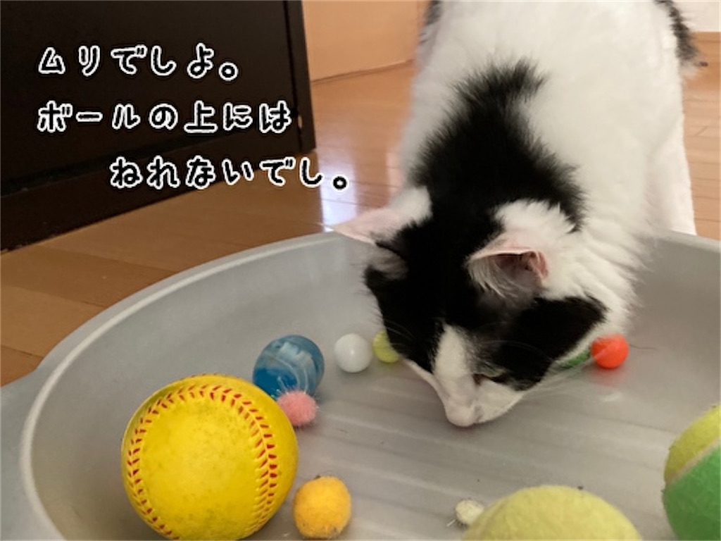 f:id:fukufukudo:20210801075748j:plain