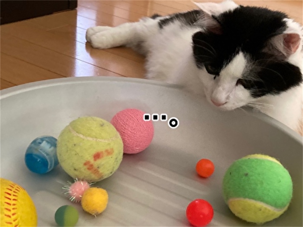 f:id:fukufukudo:20210801075757j:plain