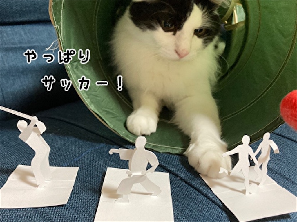 f:id:fukufukudo:20210808105801j:plain