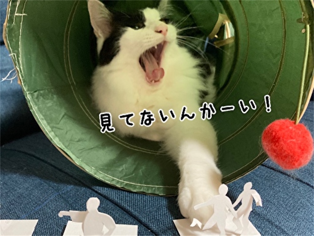 f:id:fukufukudo:20210808105818j:plain