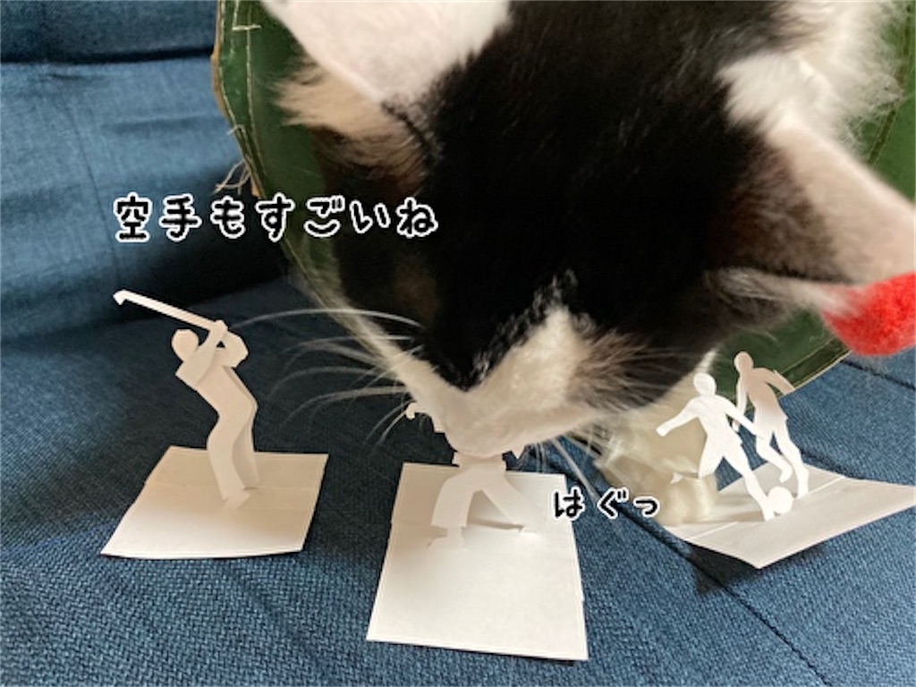 f:id:fukufukudo:20210808105829j:plain