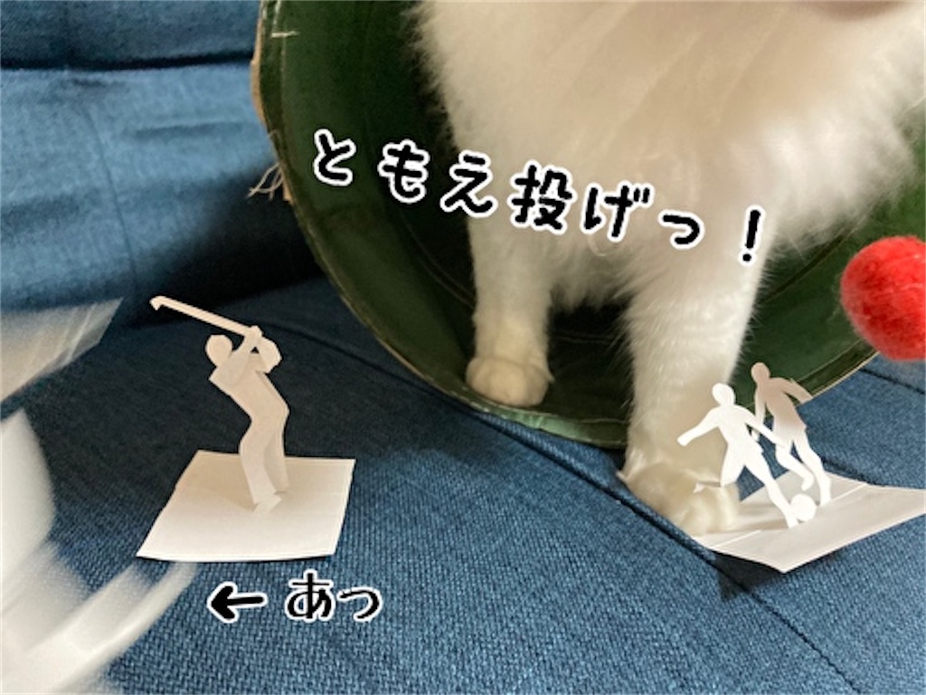 f:id:fukufukudo:20210808105839j:plain