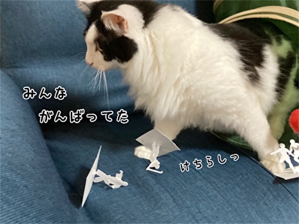 f:id:fukufukudo:20210808105849j:plain