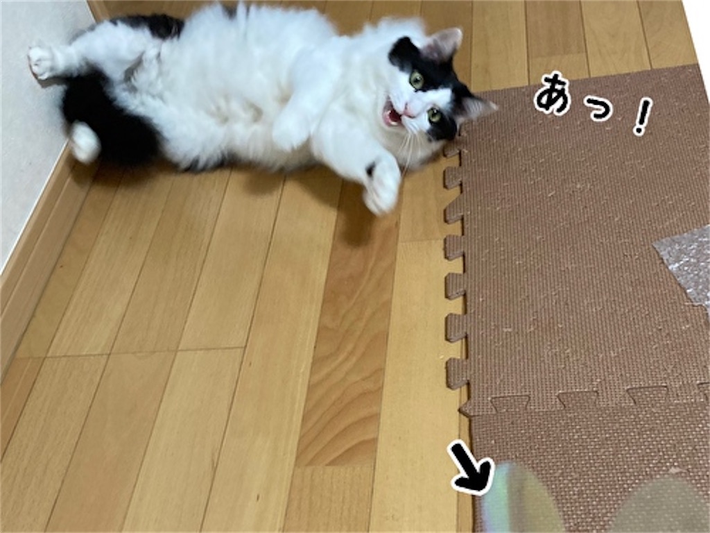 f:id:fukufukudo:20210821140054j:plain