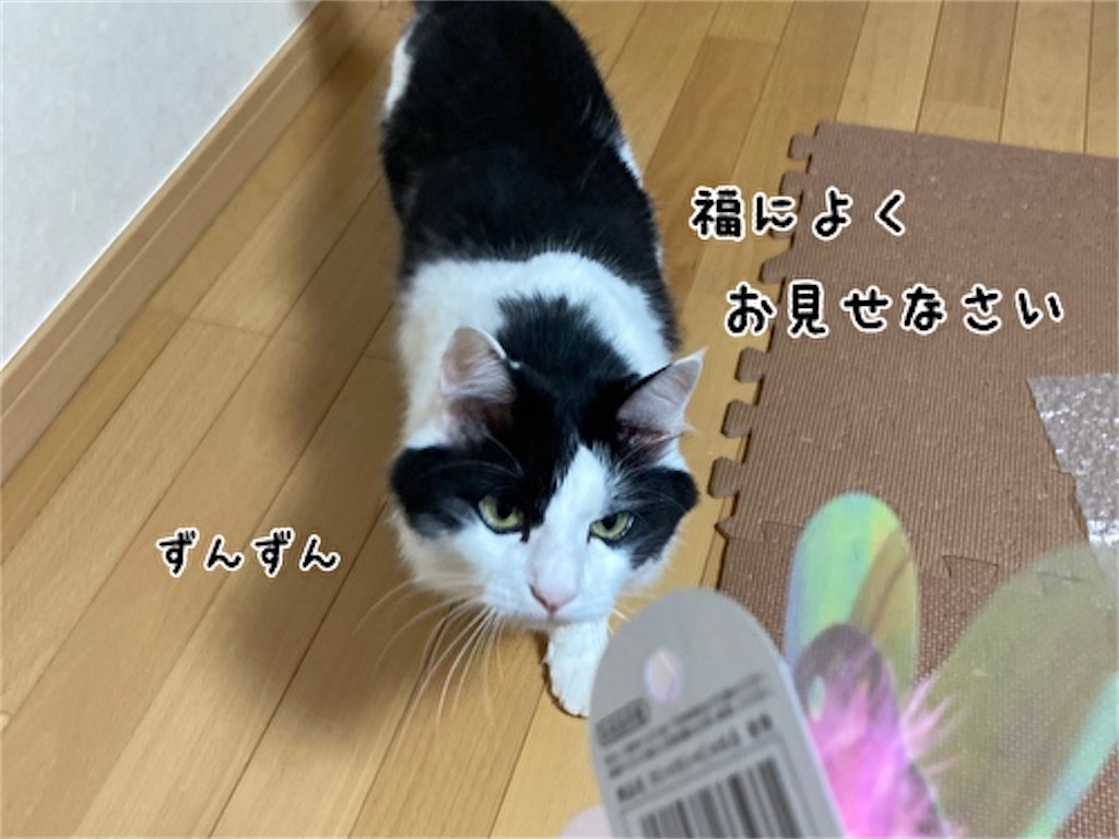 f:id:fukufukudo:20210821140103j:plain