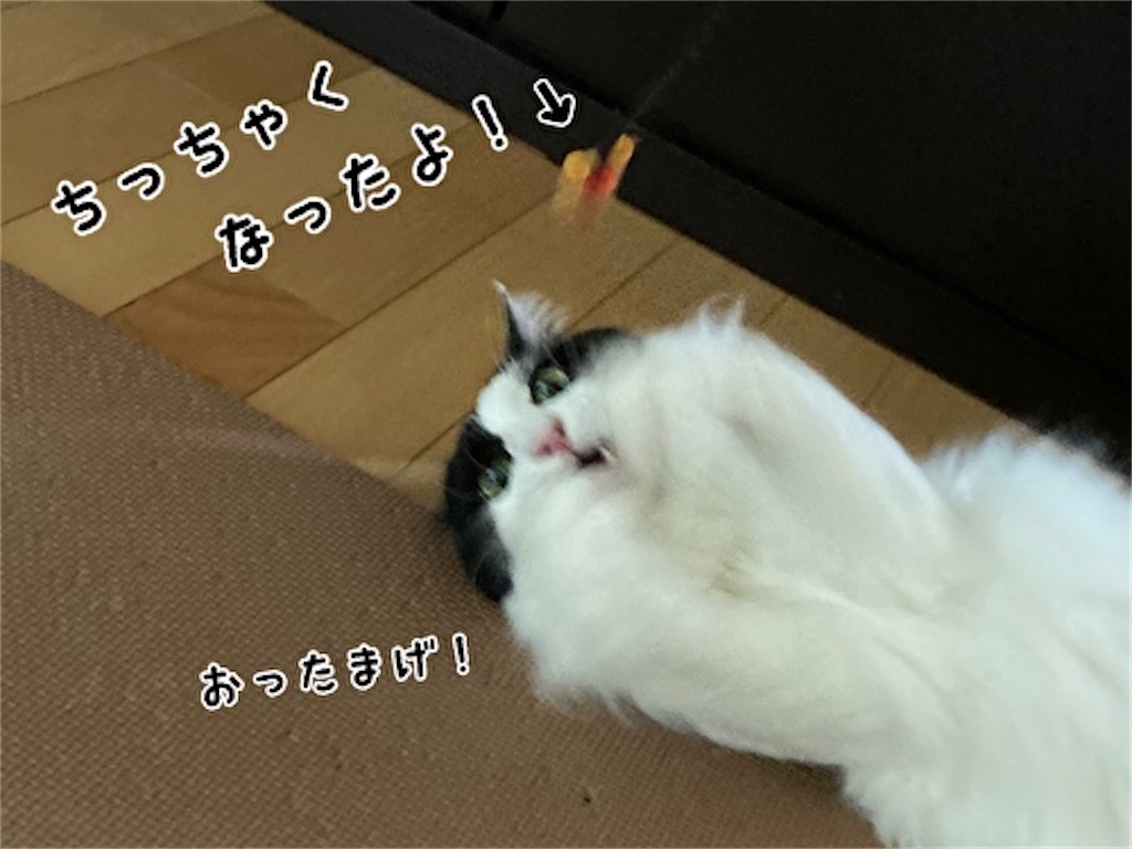 f:id:fukufukudo:20210821140204j:plain