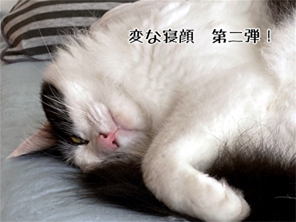 f:id:fukufukudo:20210821161552j:plain