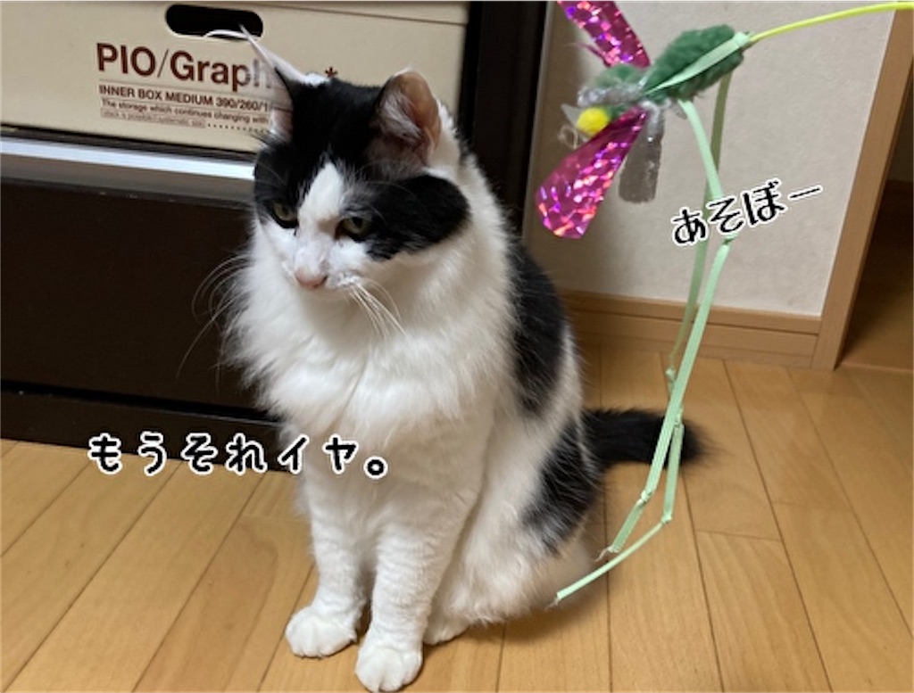 f:id:fukufukudo:20210821204354j:plain