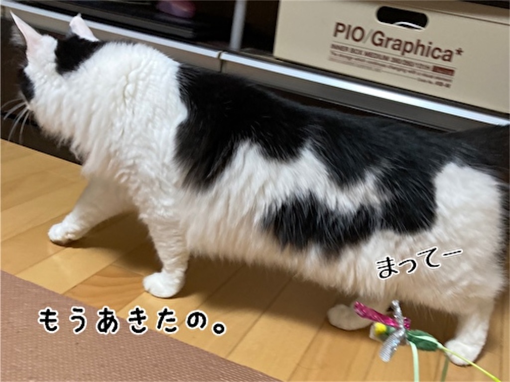 f:id:fukufukudo:20210821204422j:plain