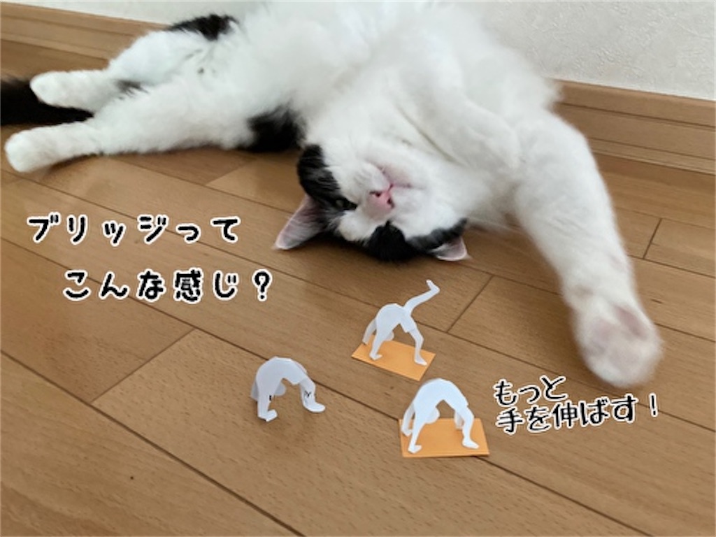 f:id:fukufukudo:20210826131446j:plain