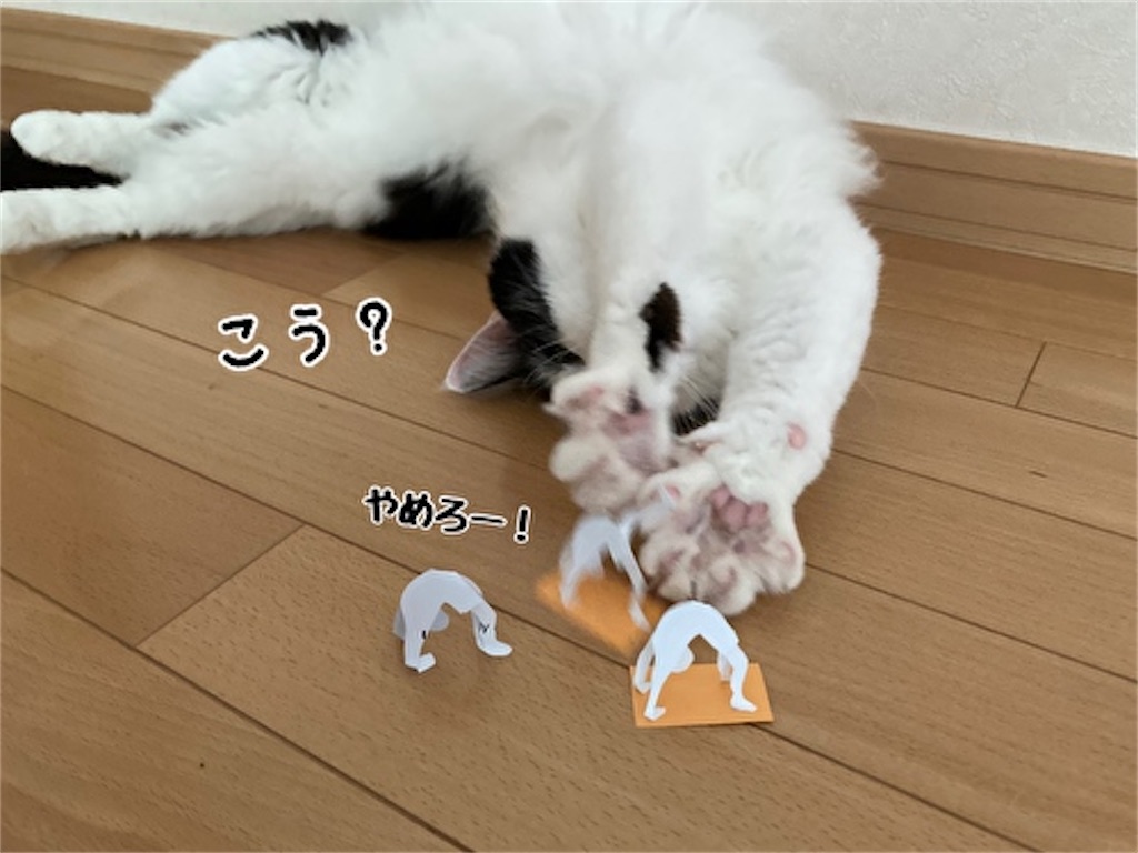 f:id:fukufukudo:20210826131507j:plain