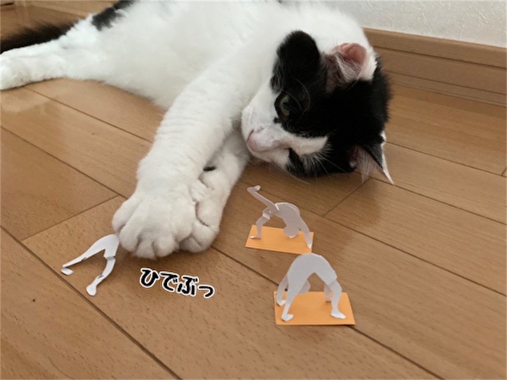 f:id:fukufukudo:20210826131651j:plain