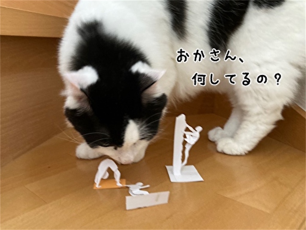 f:id:fukufukudo:20210826143555j:plain