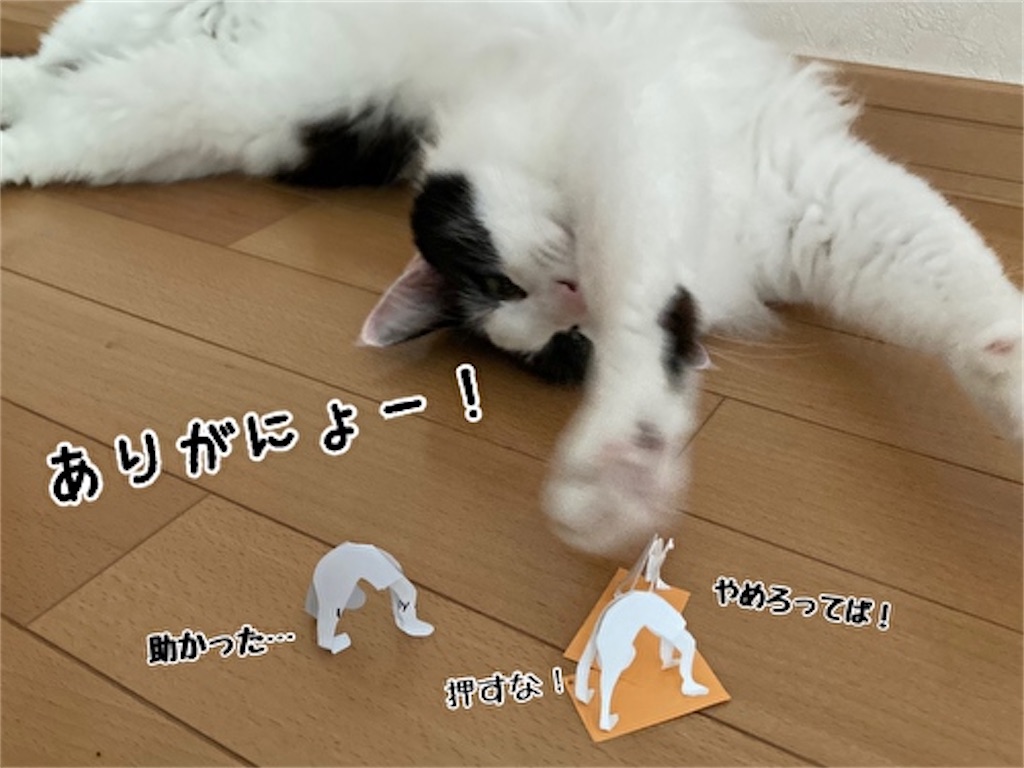 f:id:fukufukudo:20210830111818j:plain