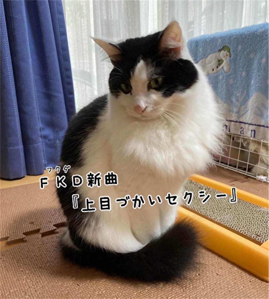 f:id:fukufukudo:20210906153208j:plain