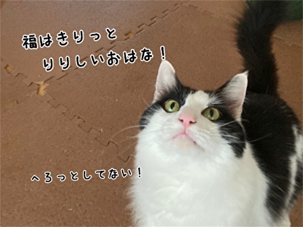 f:id:fukufukudo:20210908141309j:plain