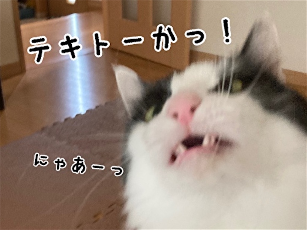 f:id:fukufukudo:20210908141325j:plain