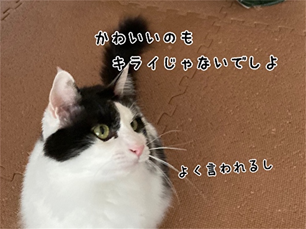 f:id:fukufukudo:20210908141846j:plain