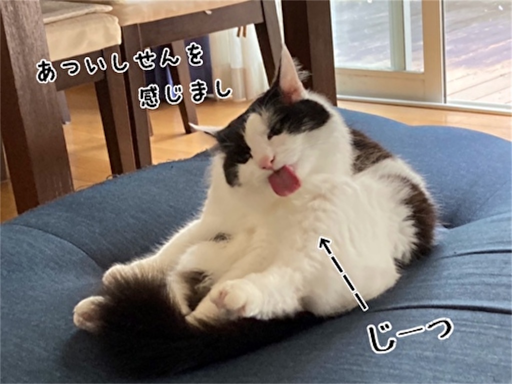 f:id:fukufukudo:20210913143342j:plain