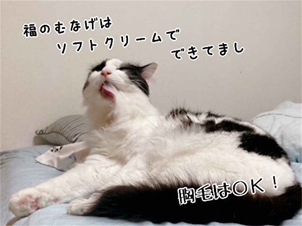 f:id:fukufukudo:20210913143448j:plain