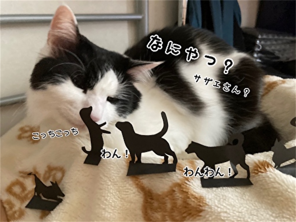 f:id:fukufukudo:20210915123357j:plain