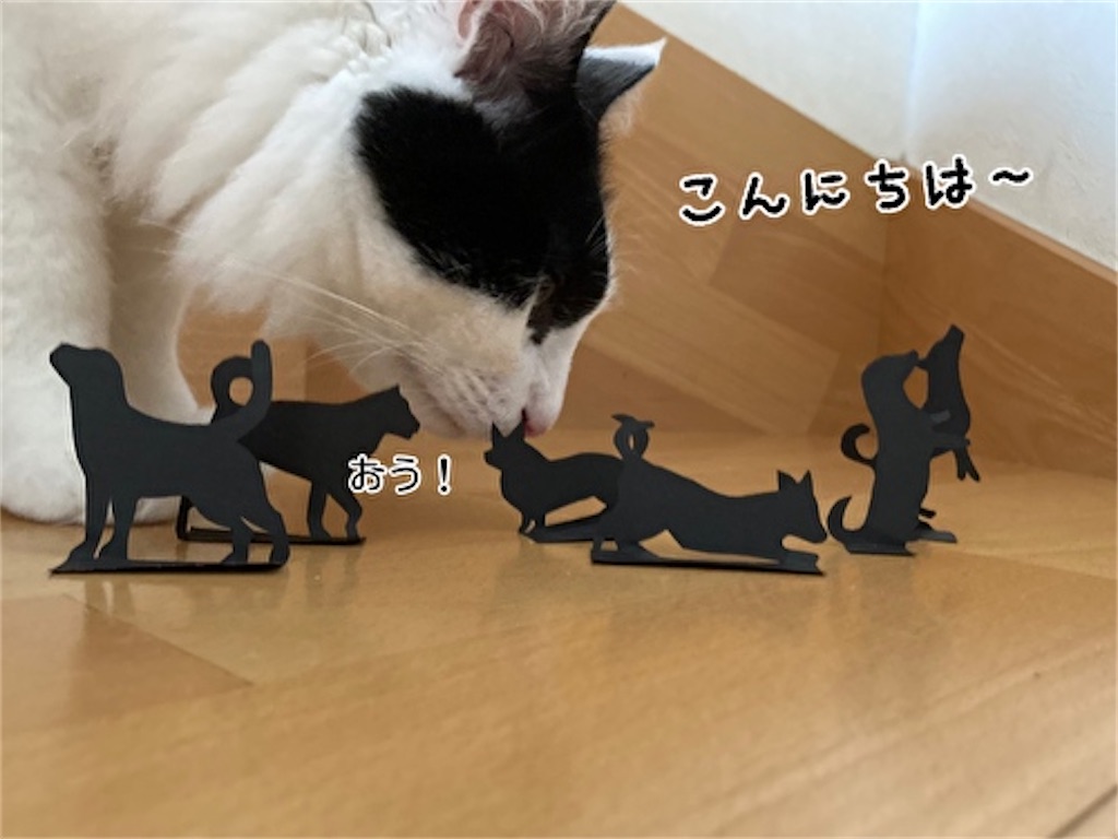 f:id:fukufukudo:20210915123501j:plain