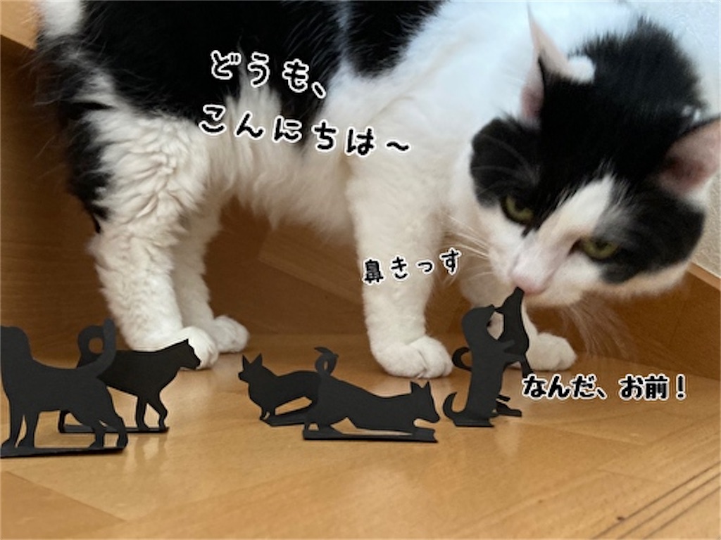 f:id:fukufukudo:20210915123513j:plain