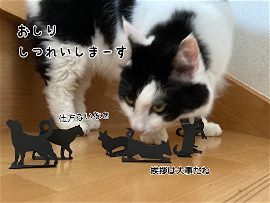 f:id:fukufukudo:20210915123523j:plain