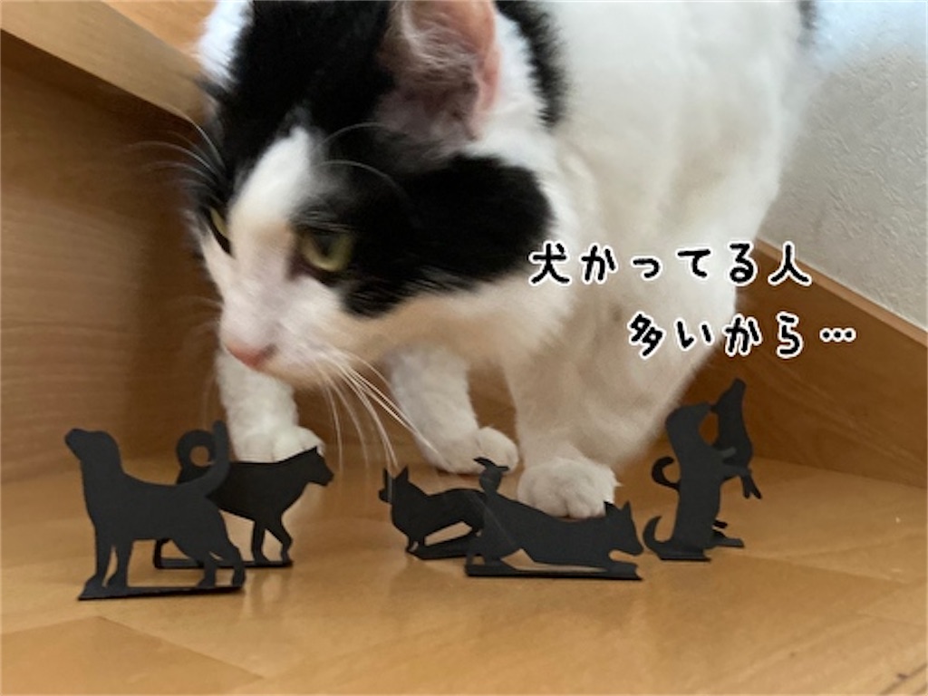 f:id:fukufukudo:20210915123532j:plain