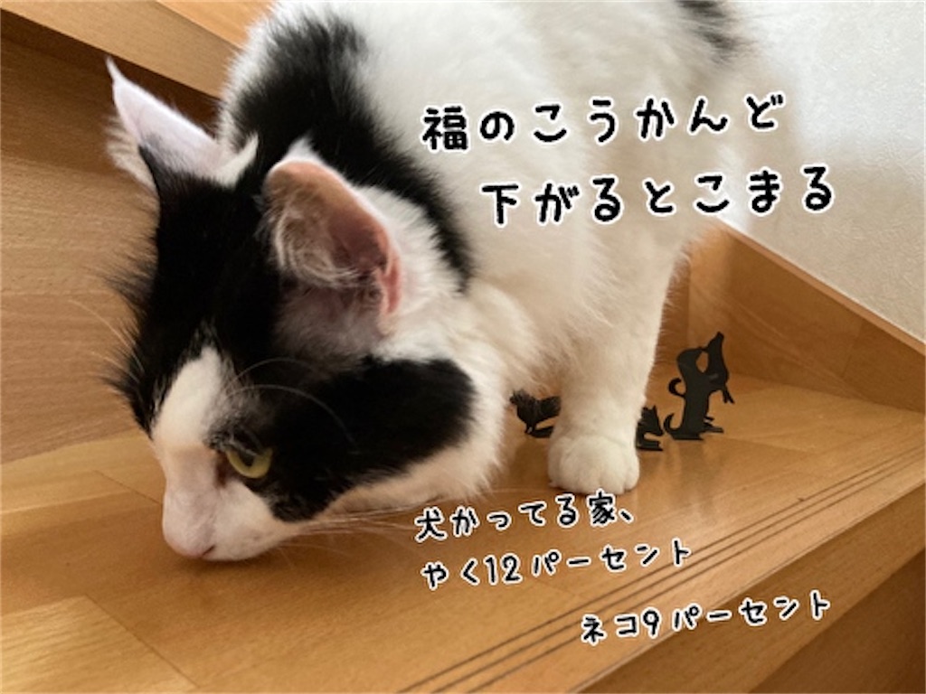 f:id:fukufukudo:20210915123547j:plain