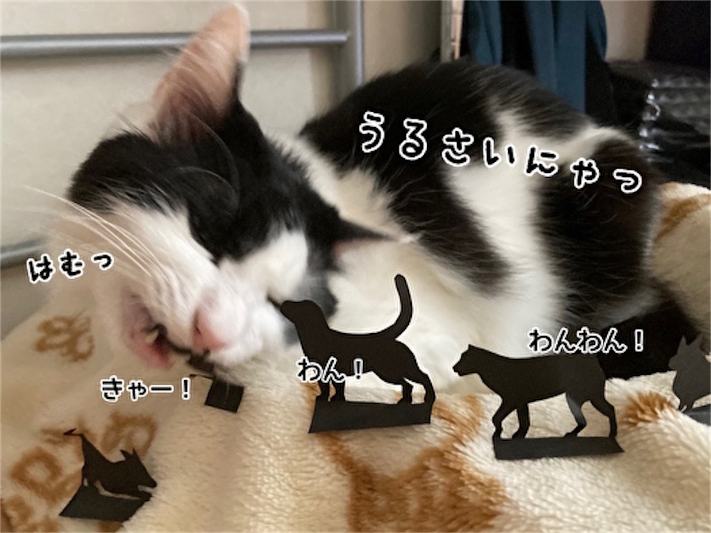 f:id:fukufukudo:20210915123603j:plain