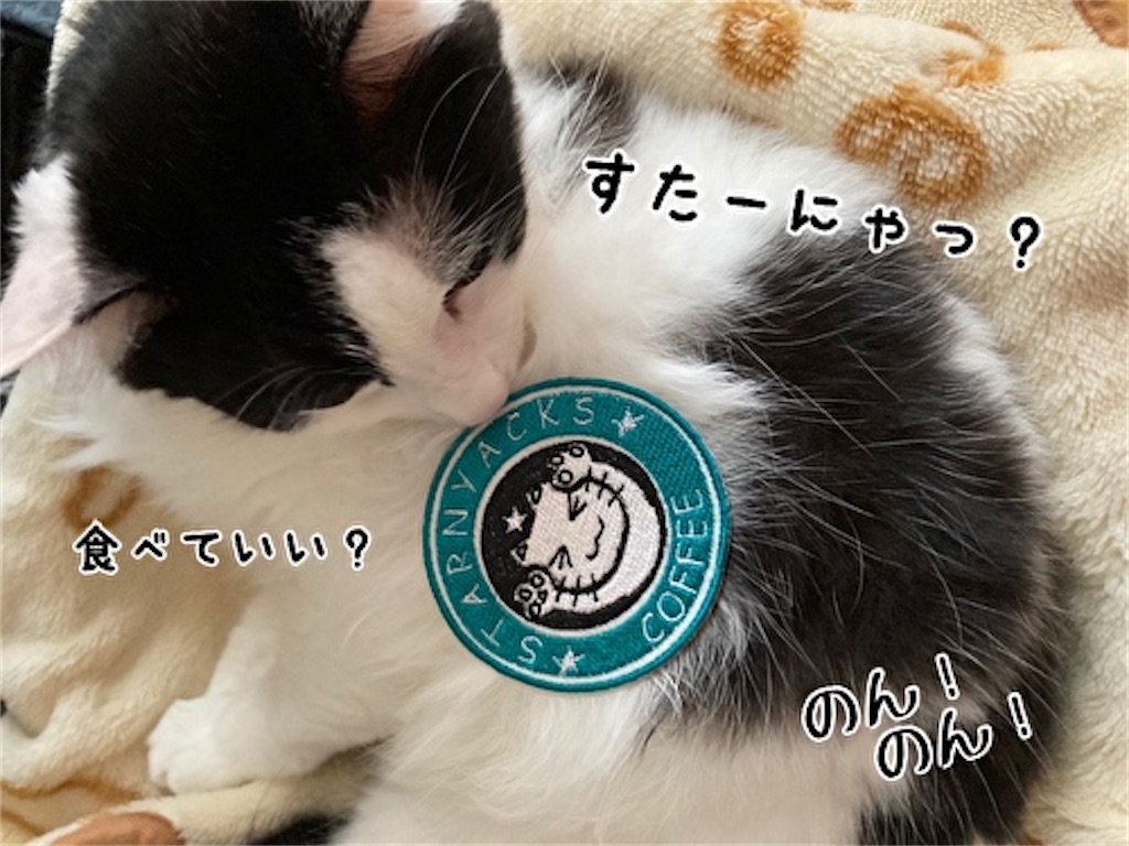 f:id:fukufukudo:20210918130738j:plain