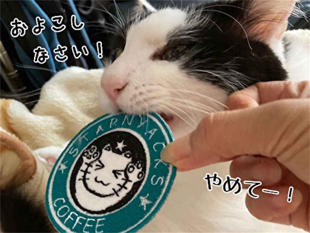 f:id:fukufukudo:20210918130749j:plain