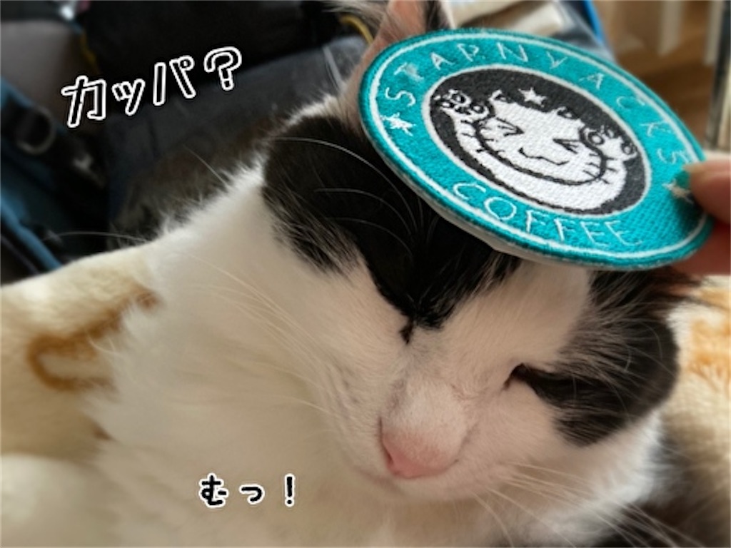 f:id:fukufukudo:20210918130756j:plain